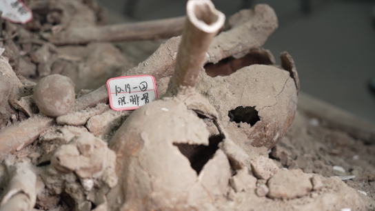 7DCFE982-94F2-4f7b-B5C6-2983CF96F0D5.png 7DCFE982-94F2-4f7b-B5C6-2983CF96F0D5.png