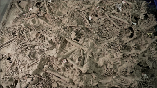 DAF3D58D-B0C0-43e5-86D9-5F7FA58B1320.png DAF3D58D-B0C0-43e5-86D9-5F7FA58B1320.png